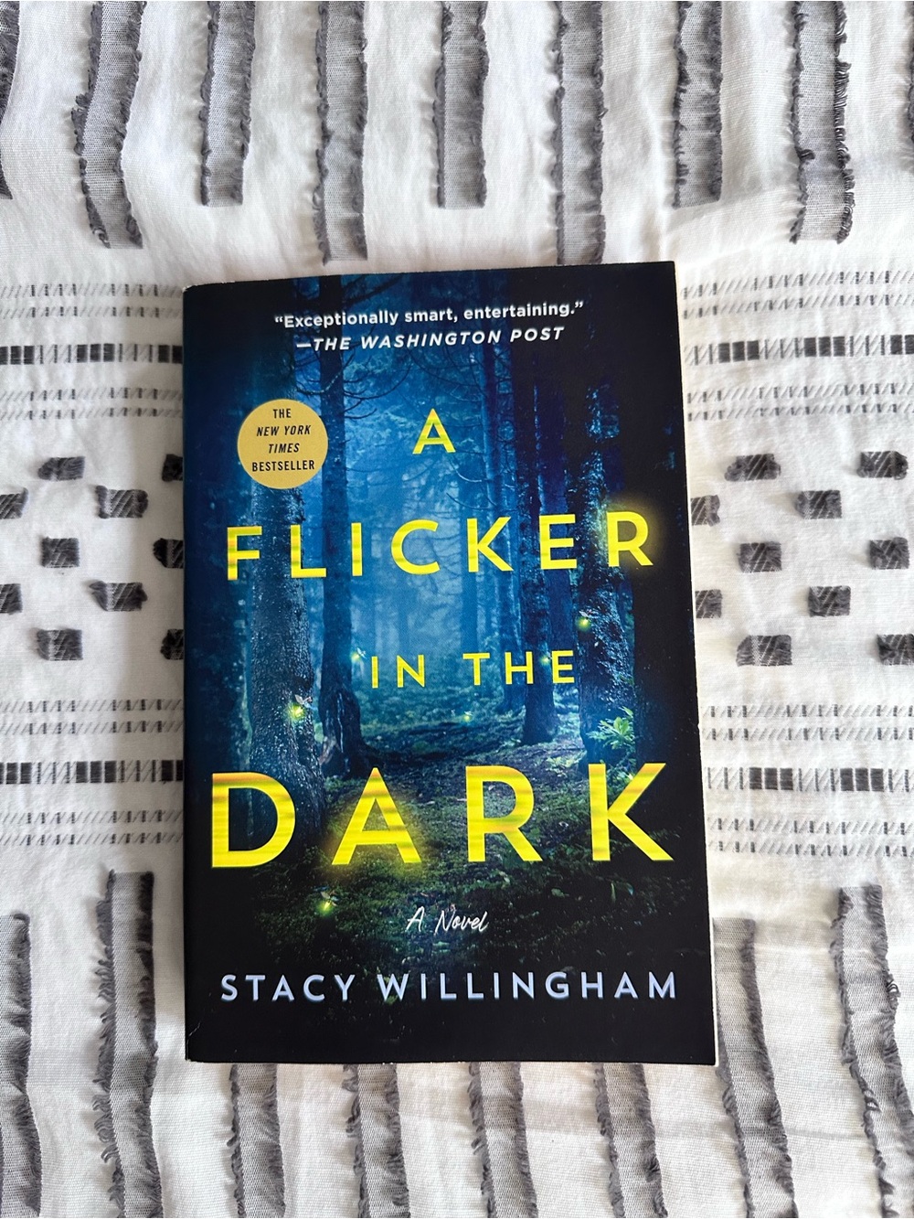 'A Flicker in the Dark paperback